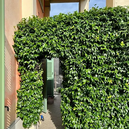 Cuore Della Citta- Apartament Manerbio